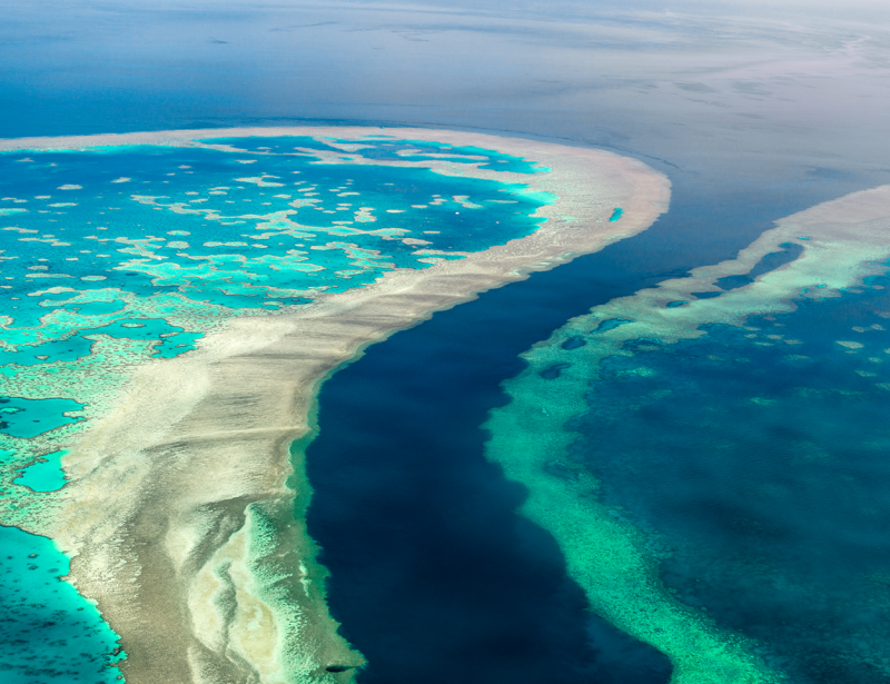 la grande barriere de corail